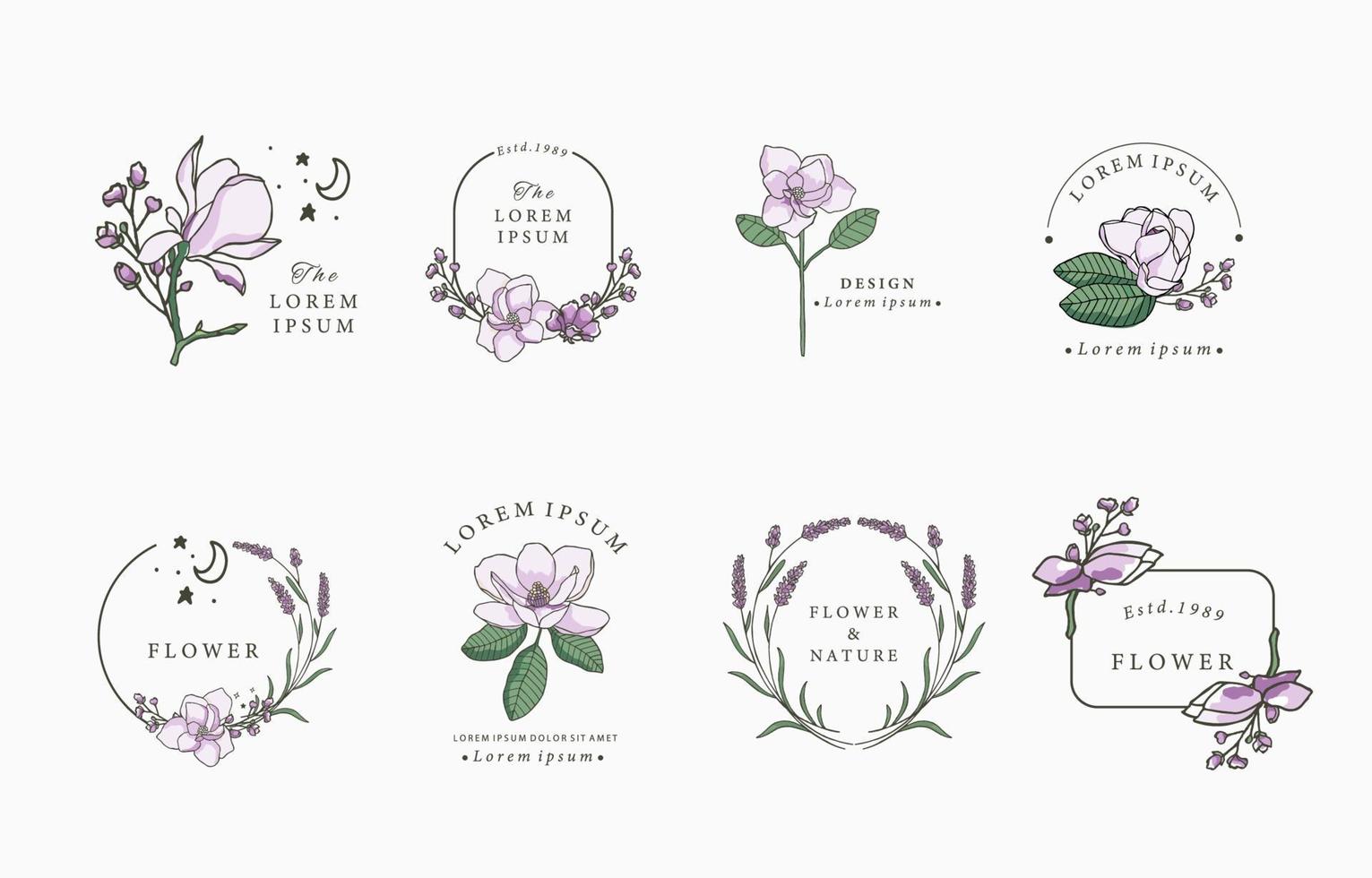 Beauty magnolia object collection vector