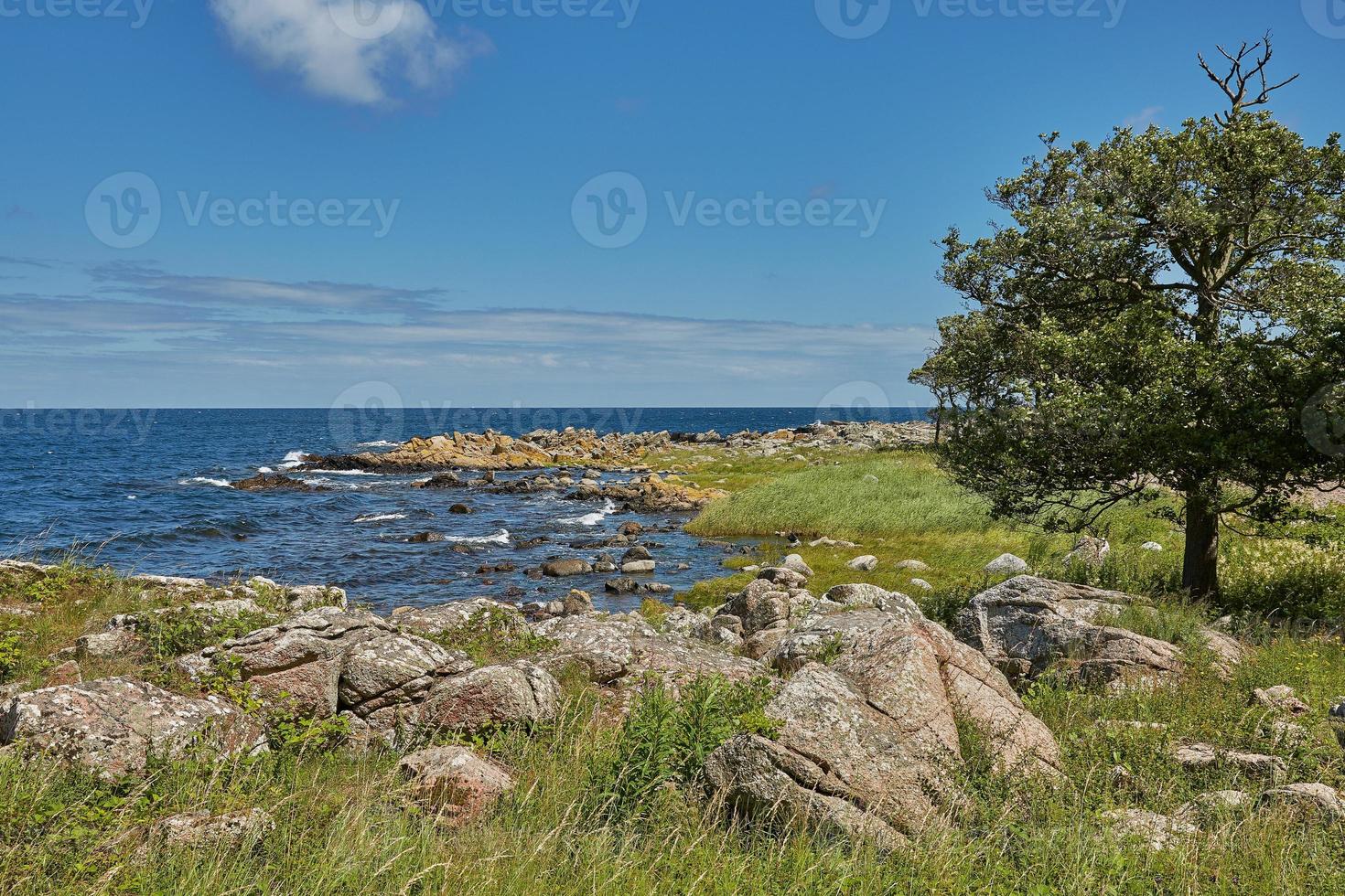 Coast line of Baltic Sea near the village of Svaneke on Island Bornholm in Denmark photo