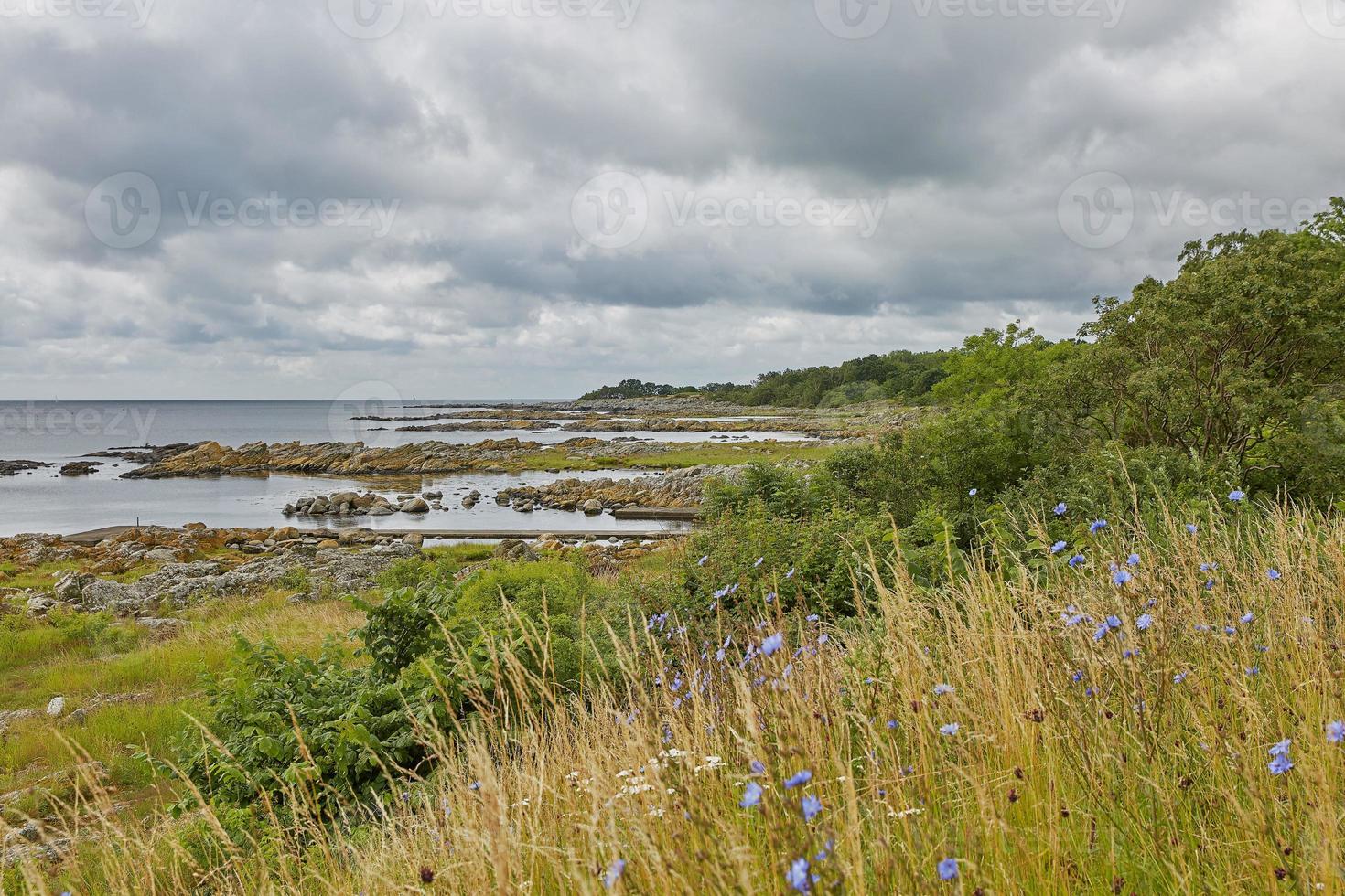 La línea de la costa del mar Báltico, cerca de la aldea de svaneke en la isla de Bornholm en Dinamarca foto