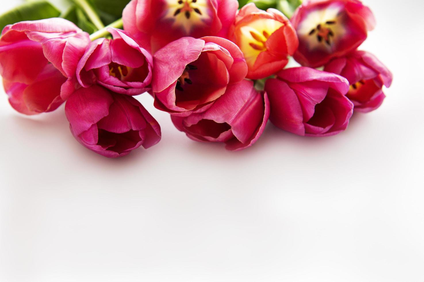 Beautiful tulips bouquet photo