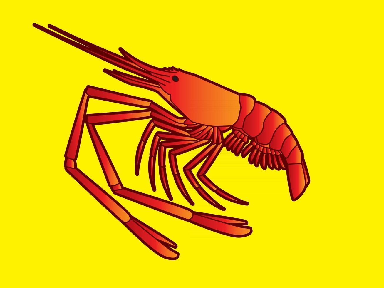 Red Shrimp Vector