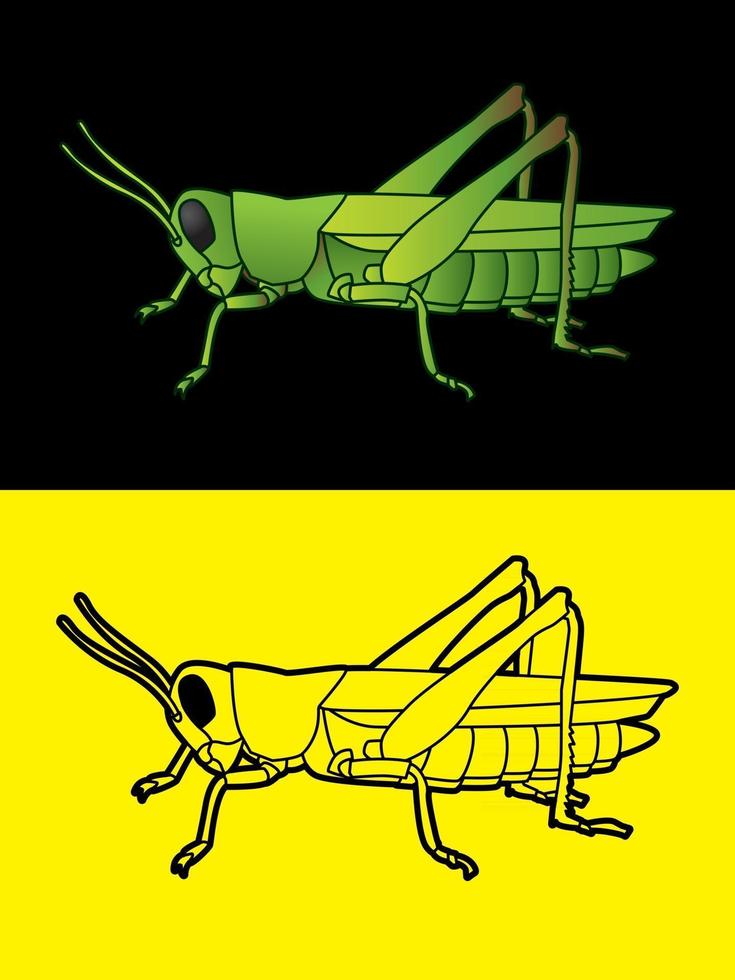 Grasshopper Side View vector