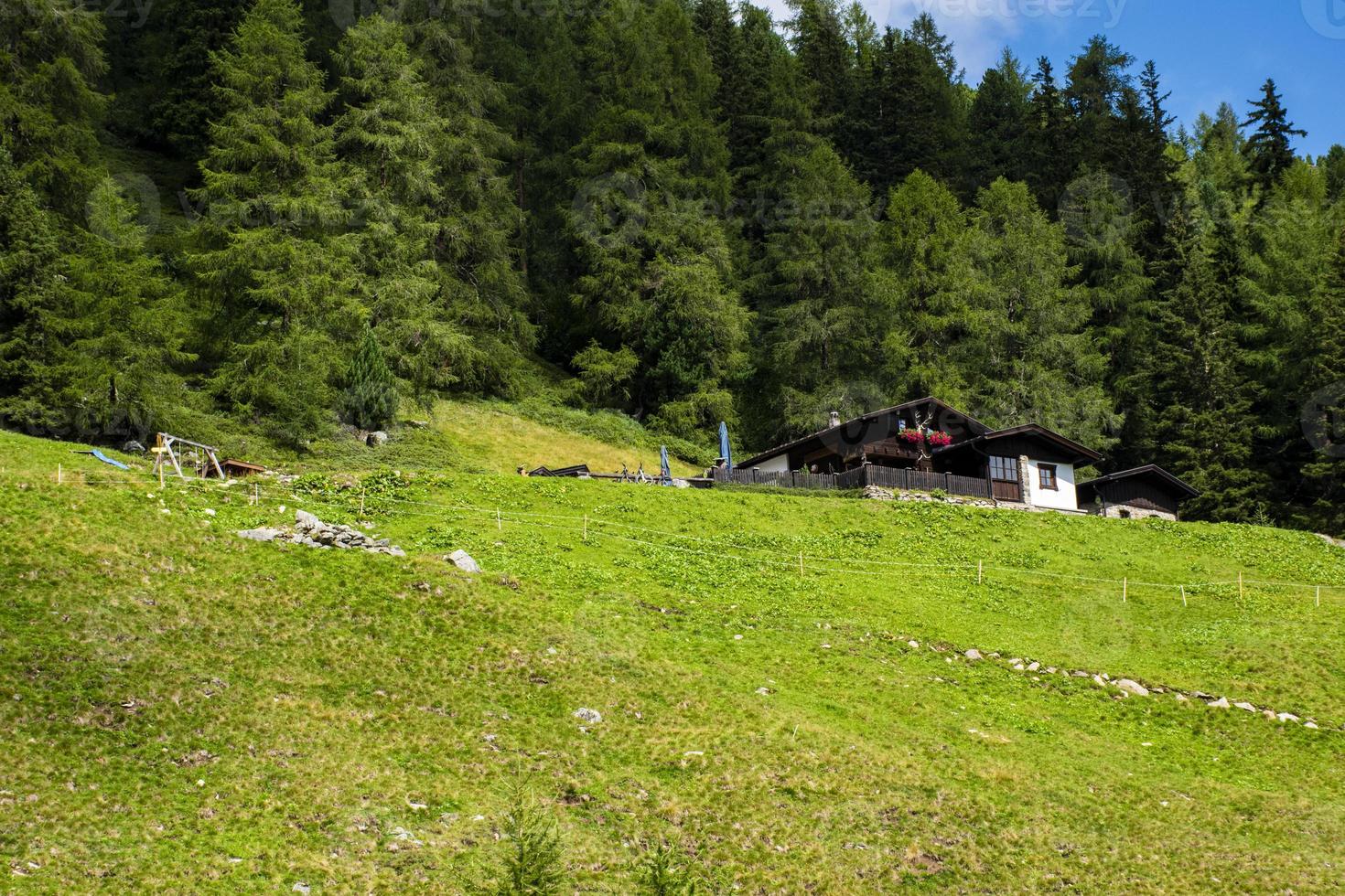 Mountain hut and forest photo