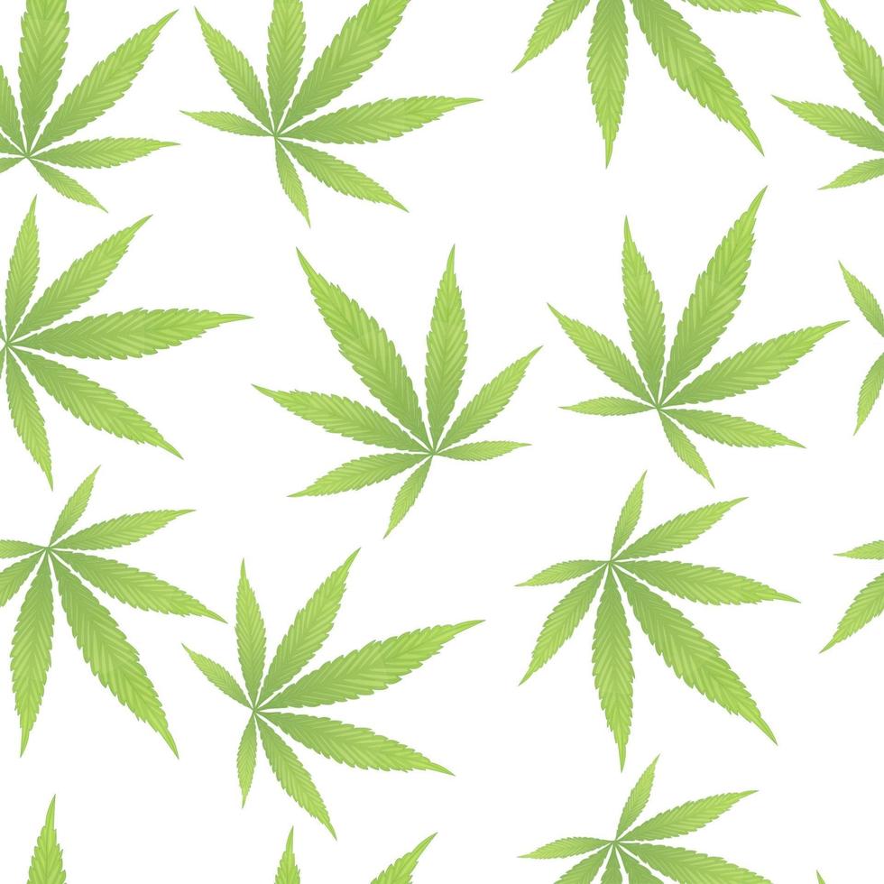 Cannabis leaves on white background seamless pattern Green cannabis leaves isolated on white vector