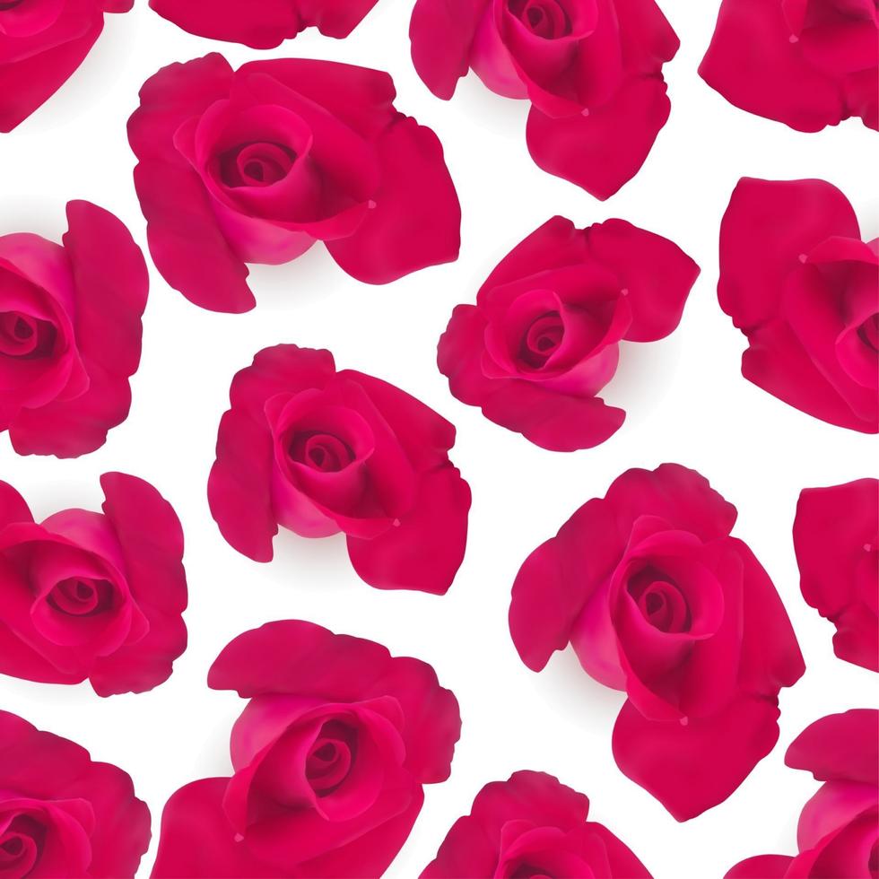 Vector rojo rosas realistas fondo transparente sobre un fondo blanco impresiones para ropa