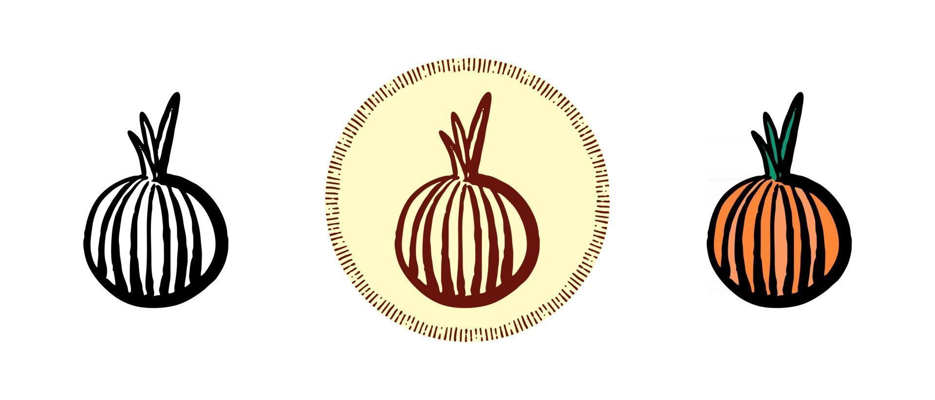 Contour and color and retro symbols of onions vector