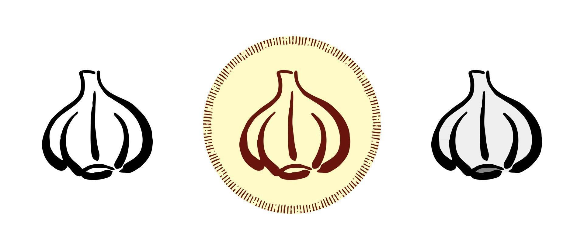 Outline and color and retro symbols of garlic vector