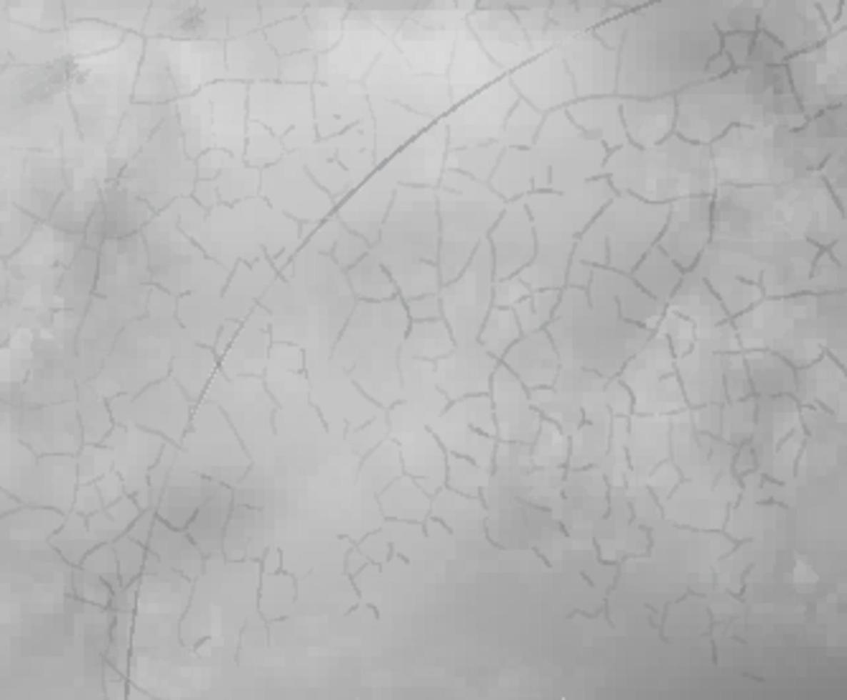 Old surface of concrete or cement vector