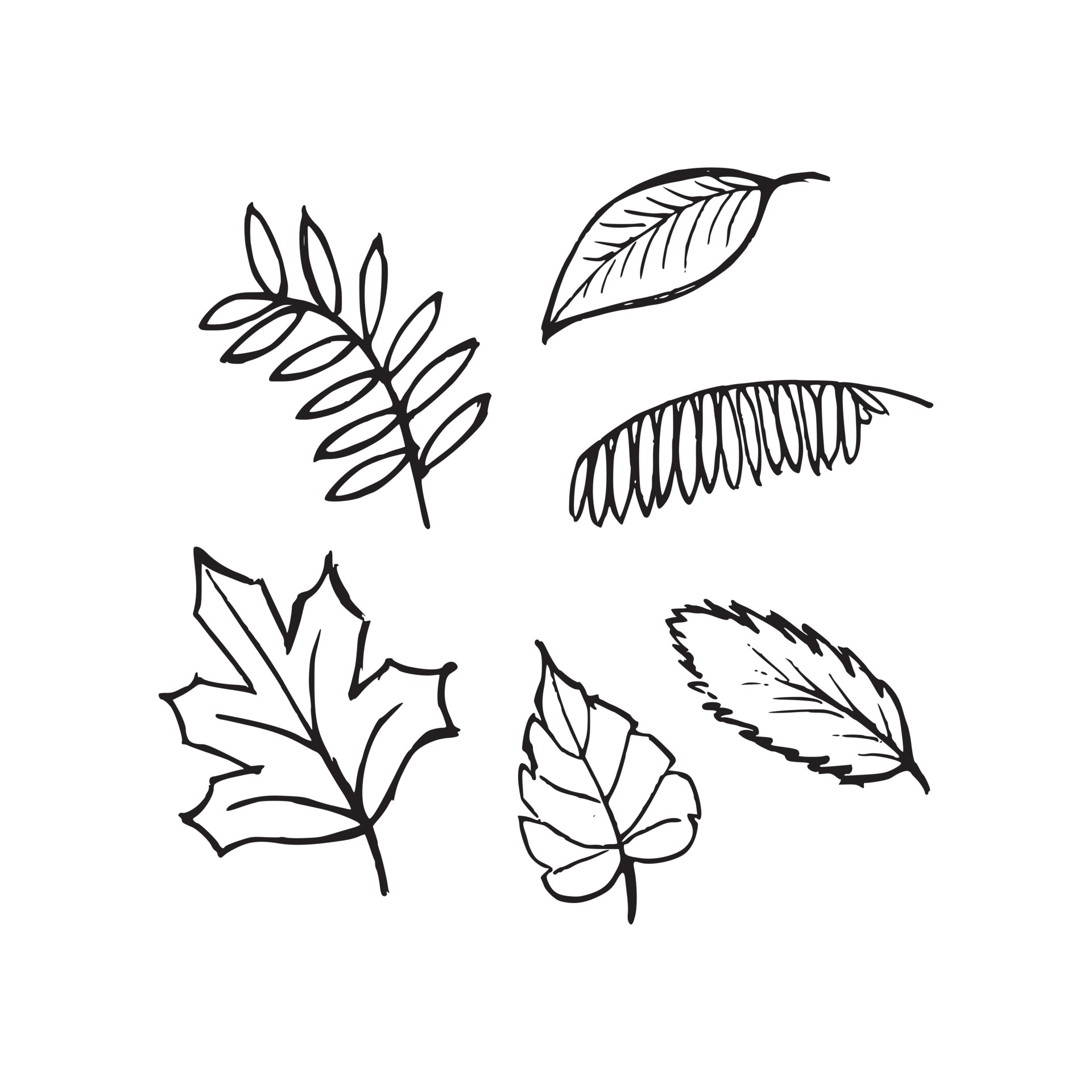 List 30+ Wallpapers fall leaves black and white clip art Completed List 30+ Wallpapers fall leaves black and white clip art Completed