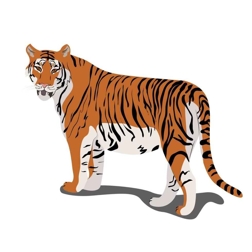 Tiger standing vector illustration in flat style clipart