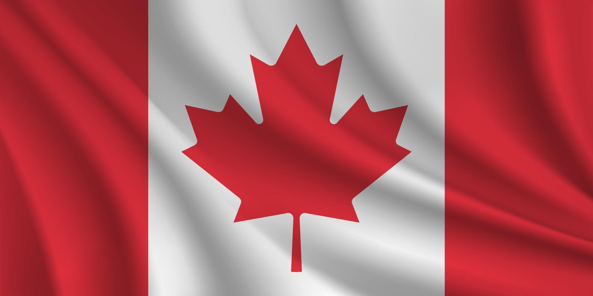 bandera ondulada de canadá vector