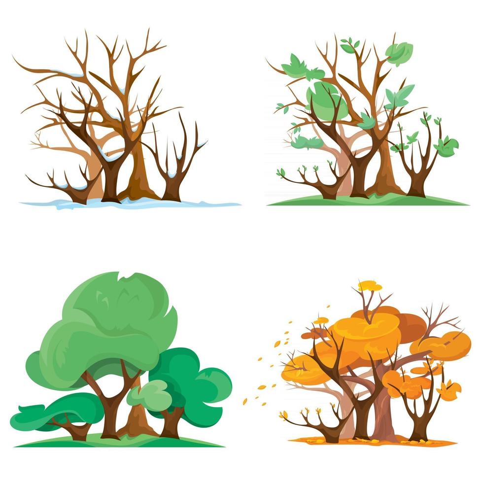 bosque en diferentes épocas del año. vector