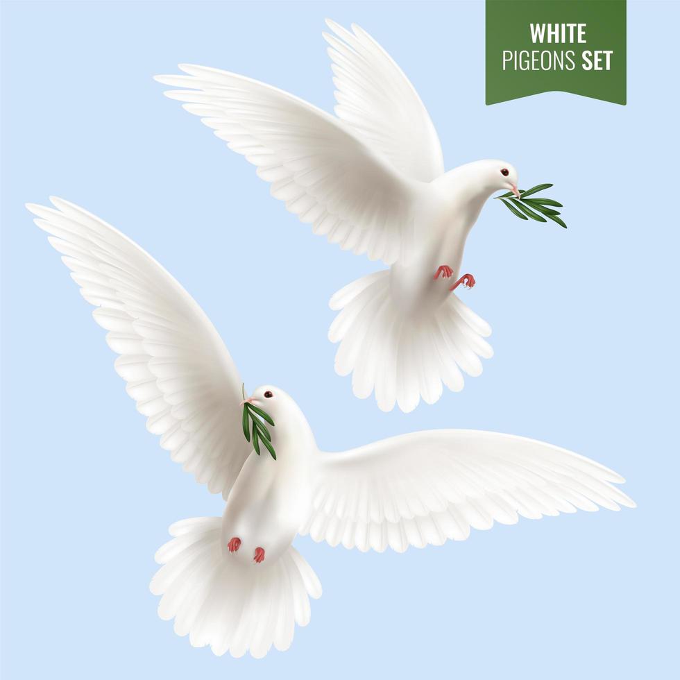 White Dove Realistic Set Vector Illustration