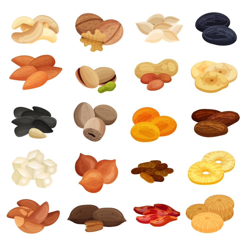 Dried Fruits Nuts Realistic Set Vector Illustration