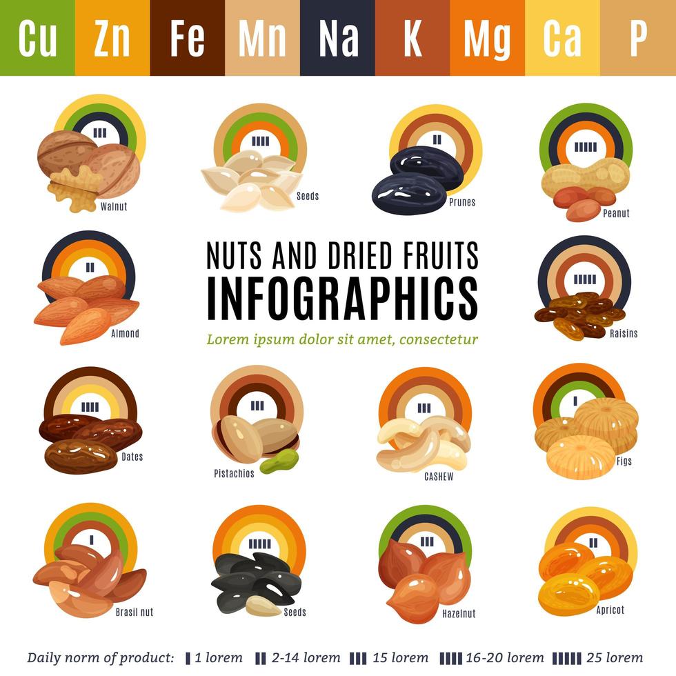 Ilustración de vector de infografía plana de nueces