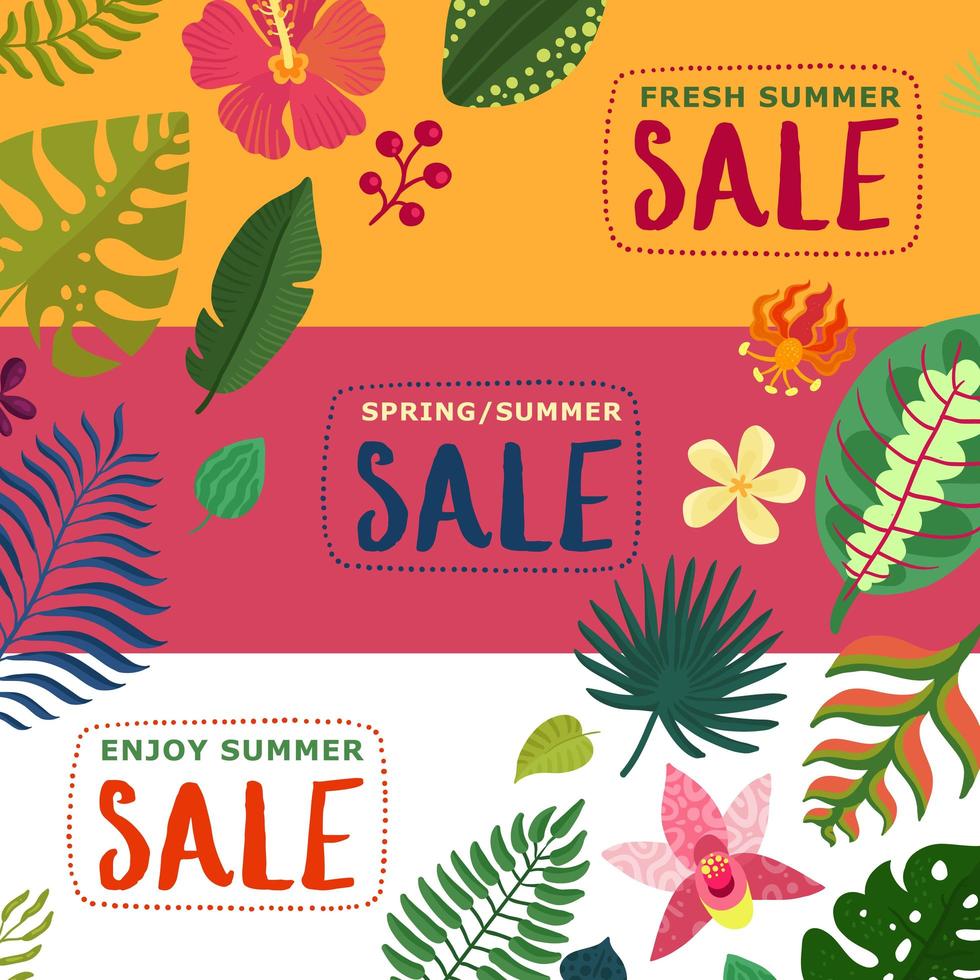 Banners de plantas tropicales conjunto ilustración vectorial vector