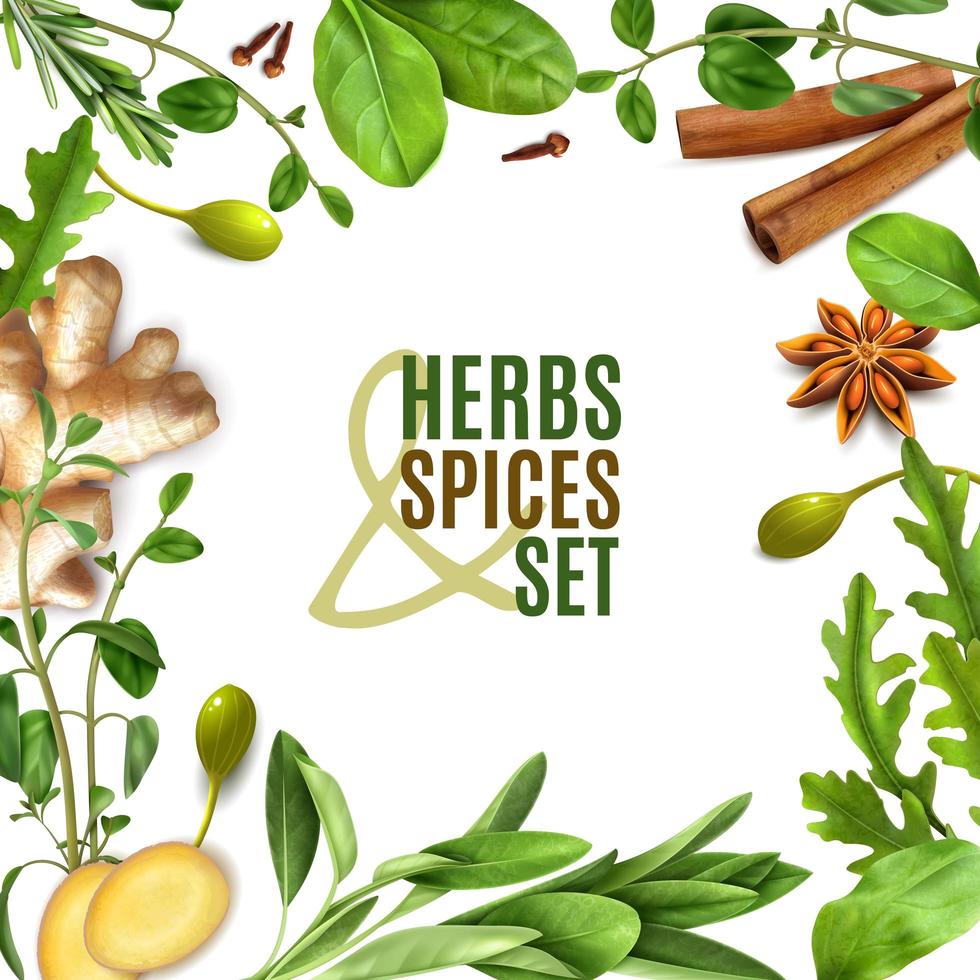 Herbs Realistic Frame Vector Illustration