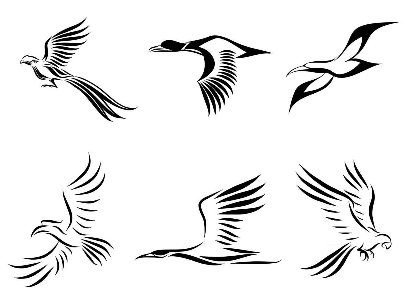 conjunto de seis imágenes vectoriales de varias aves volando, como faisán, gaviota, pato real, grúa, cálao y guacamayo, buen uso para símbolo, mascota, icono, avatar y logotipo vector