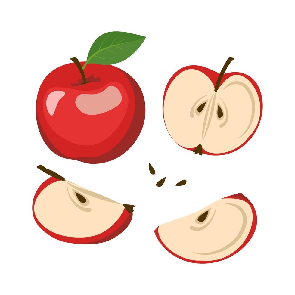 Red apple icons set. Whole fruits and halves with seeds and leaves. Food for a healthy diet. Sweet snack. Vector flat illustration