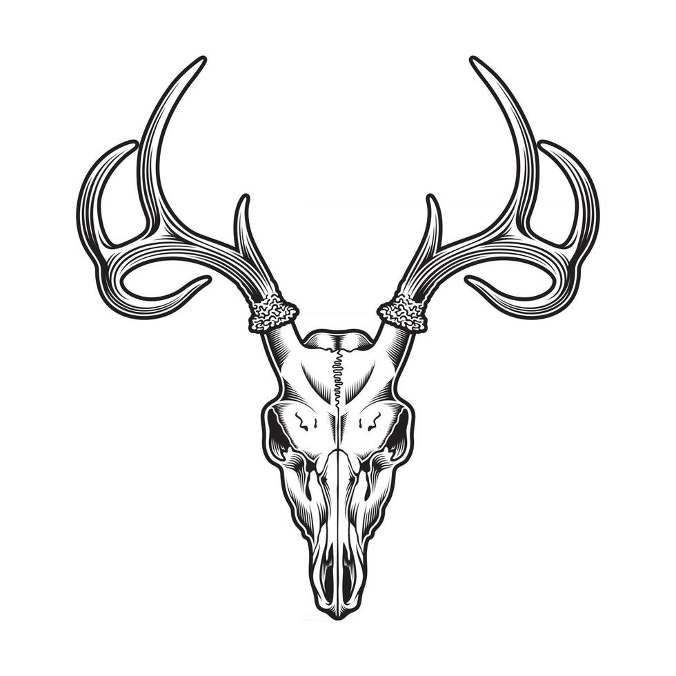 cráneo de venado en blanco y negro vector