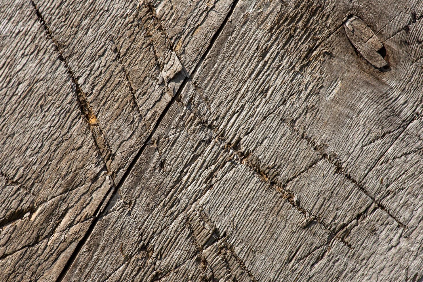 Brown old wood texture photo