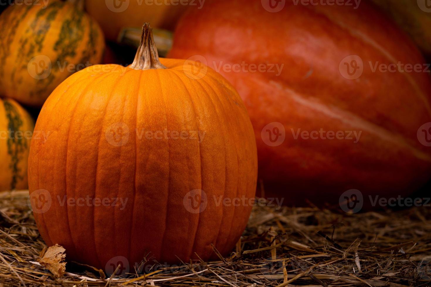 Calabaza fresca naranja grande en heno foto