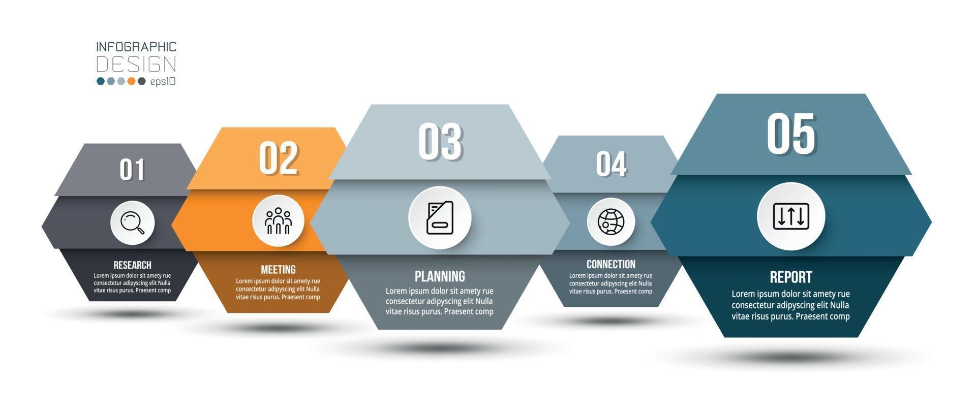 Plantilla de negocio infográfico con diseño de 5 pasos u opciones. vector