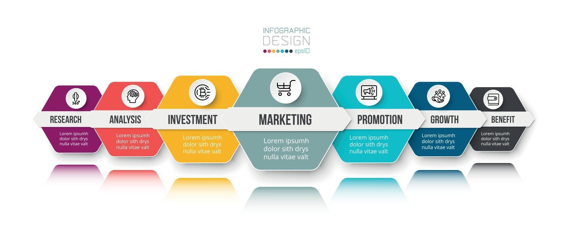 Business or marketing infographic template vector