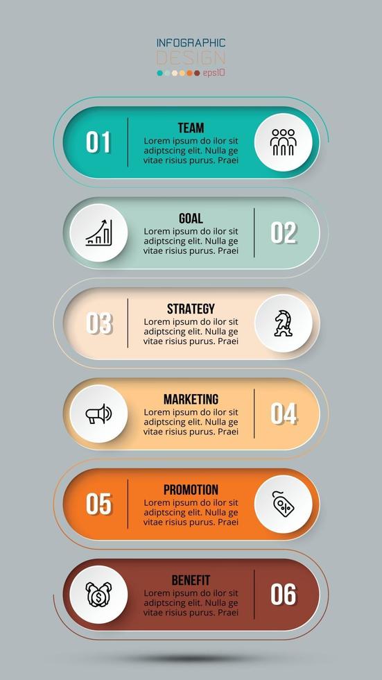 Timeline chart business infographic template vector