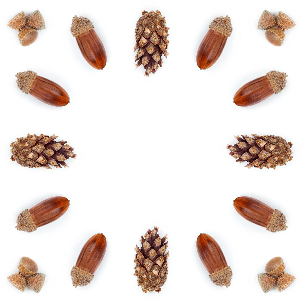 Autumn composition frame made of pine cones, acorns and chestnuts photo