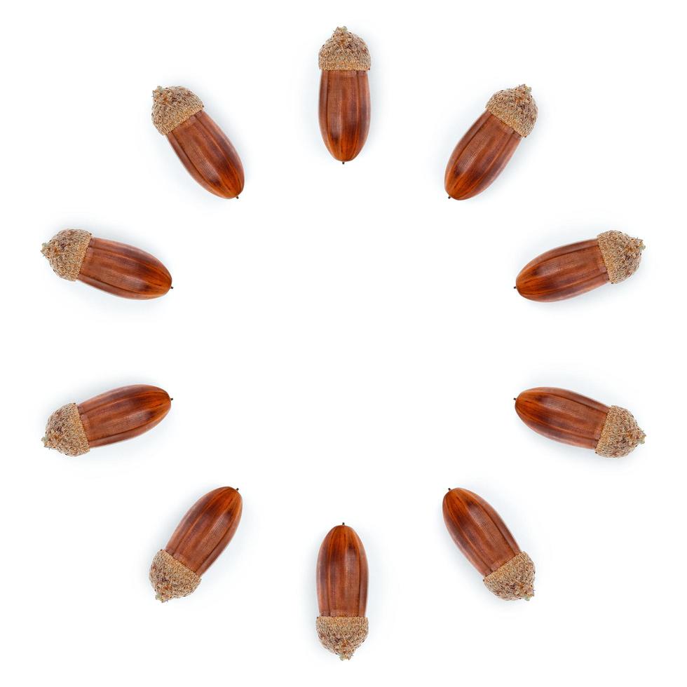 Acorns on white background photo