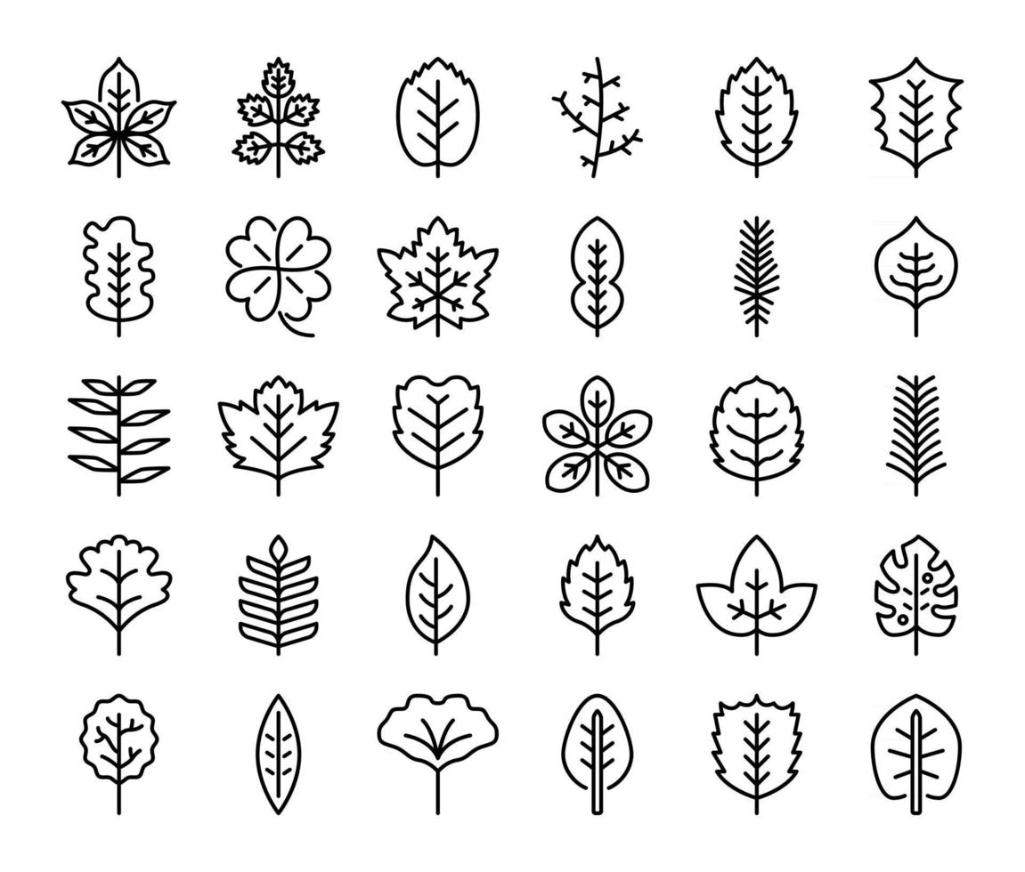 leaves outline vector icons