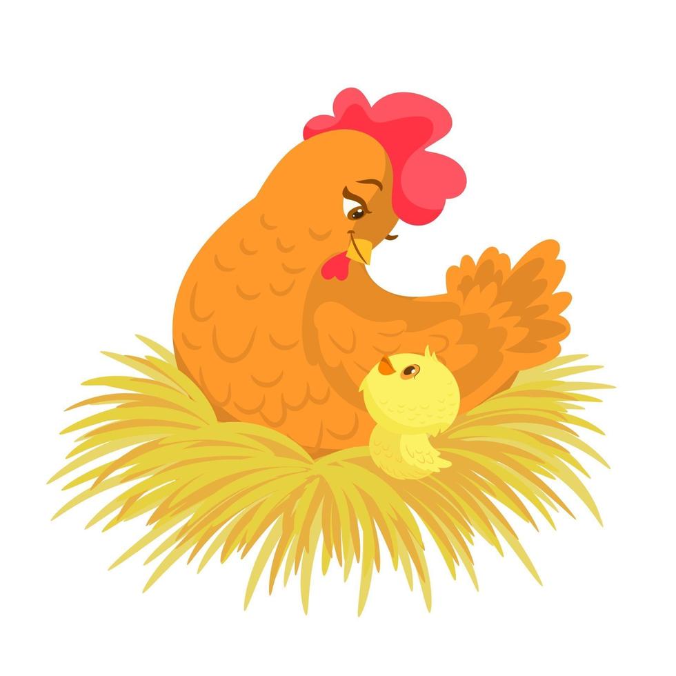 una gallina lame a su pollito en su nido vector