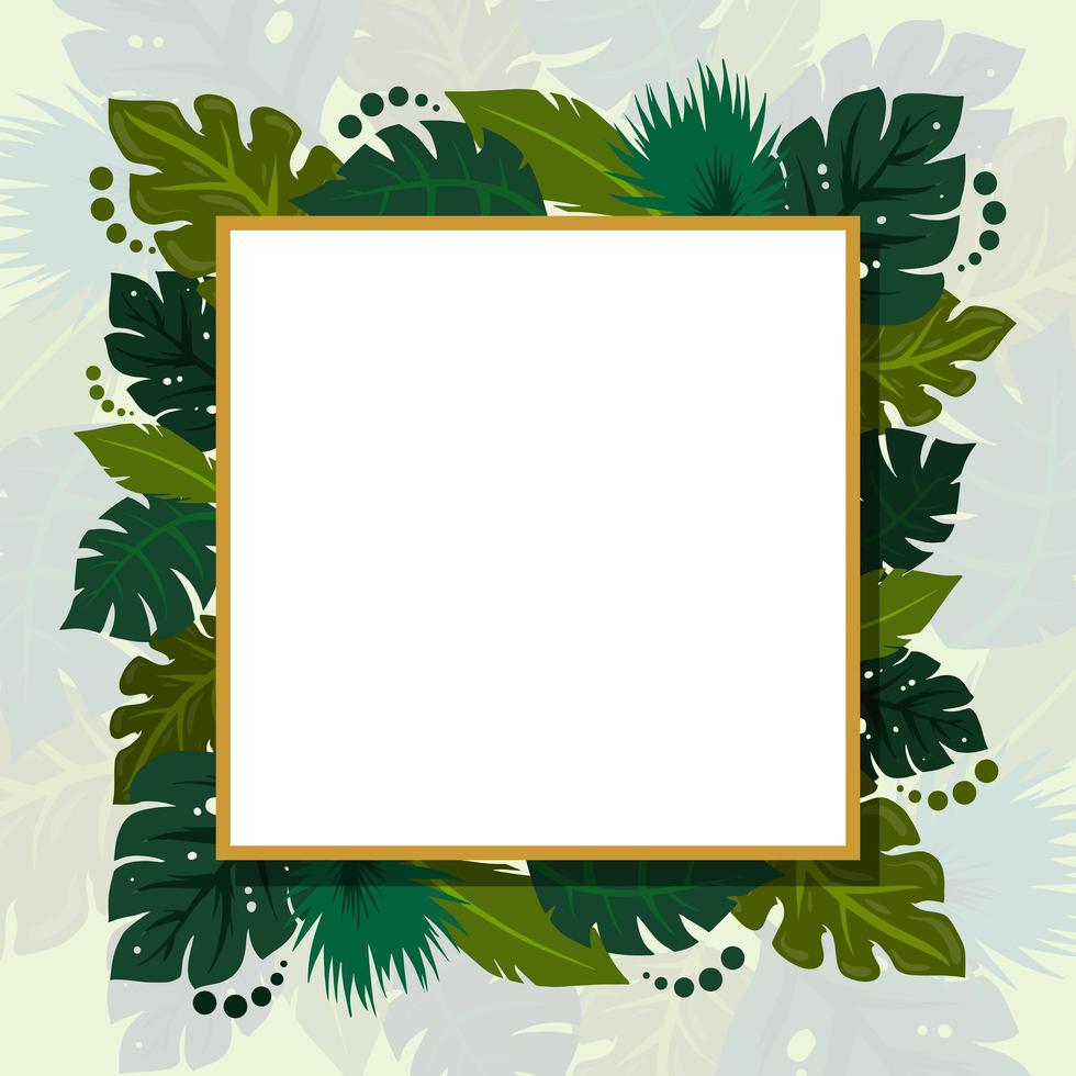 Tropical Leaves For Summer Background vector