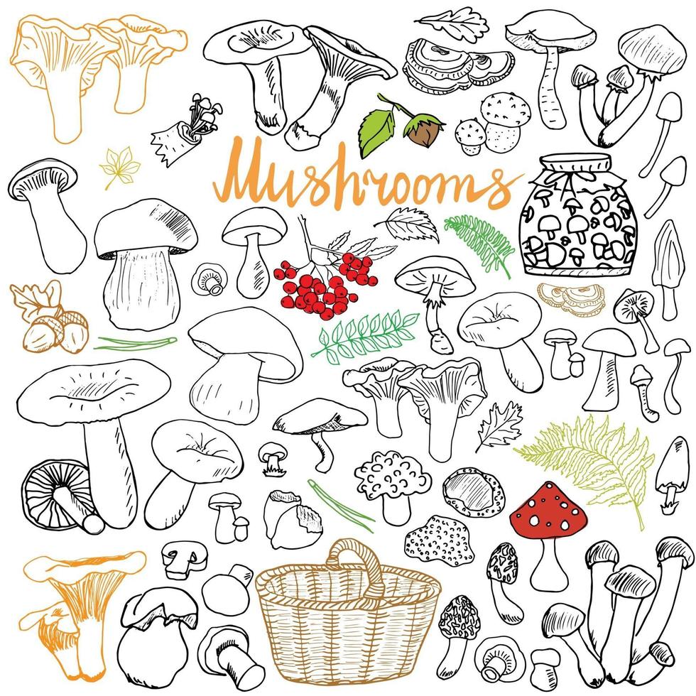 Mushrooms sketch doodles hand drawn set Different types of edible and non edible mushrooms Vector icons on white background