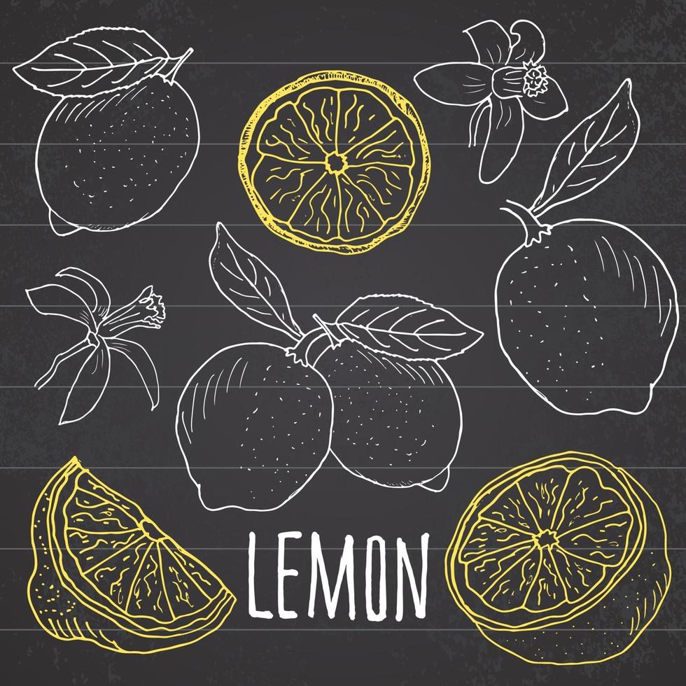 Conjunto de bocetos de limón garabatos dibujados a mano frutas de limón con hojas ilustración vectorial en pizarra vector