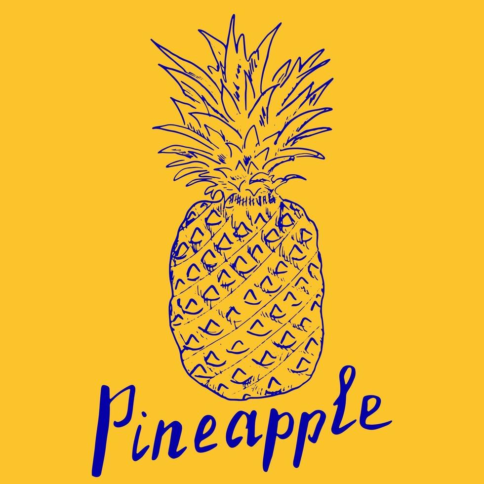 Pineapple Hand drawn sketch grunge outline vector illustration pop art style on colorful background