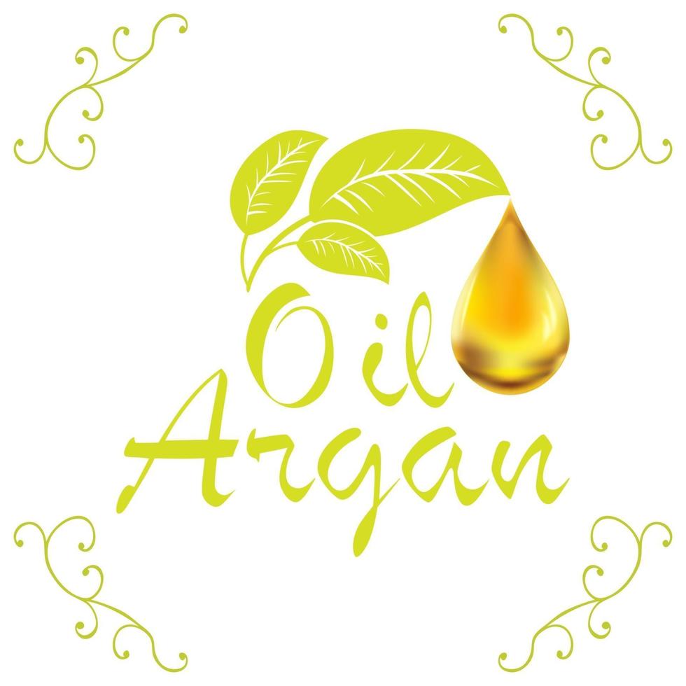 Oil drop Argan oil cosmetic falling from leaf with decoration elements isolated on white background vector