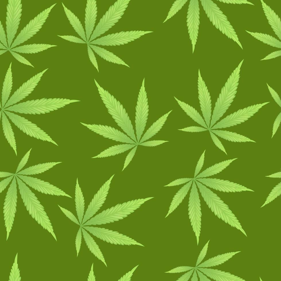 Cannabis leaves on green background seamless pattern Green cannabis leaves isolated on green vector