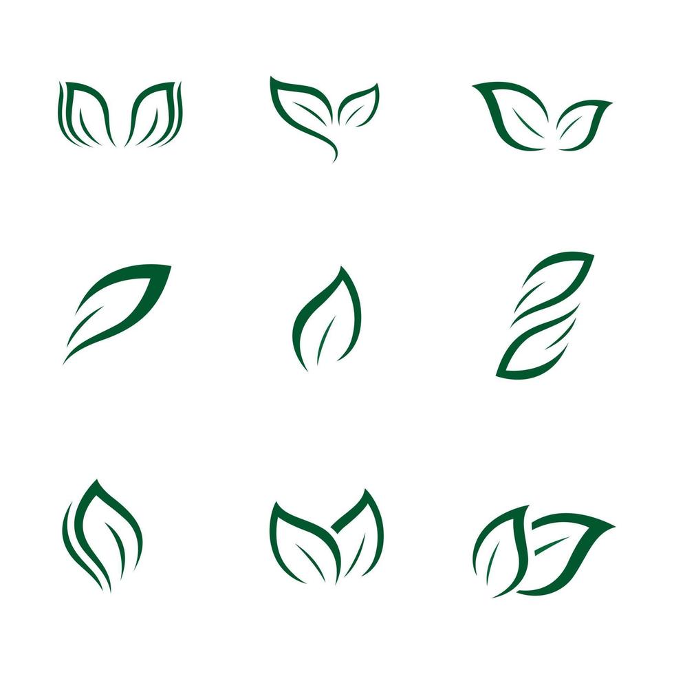 green leaf ecology vector symbol