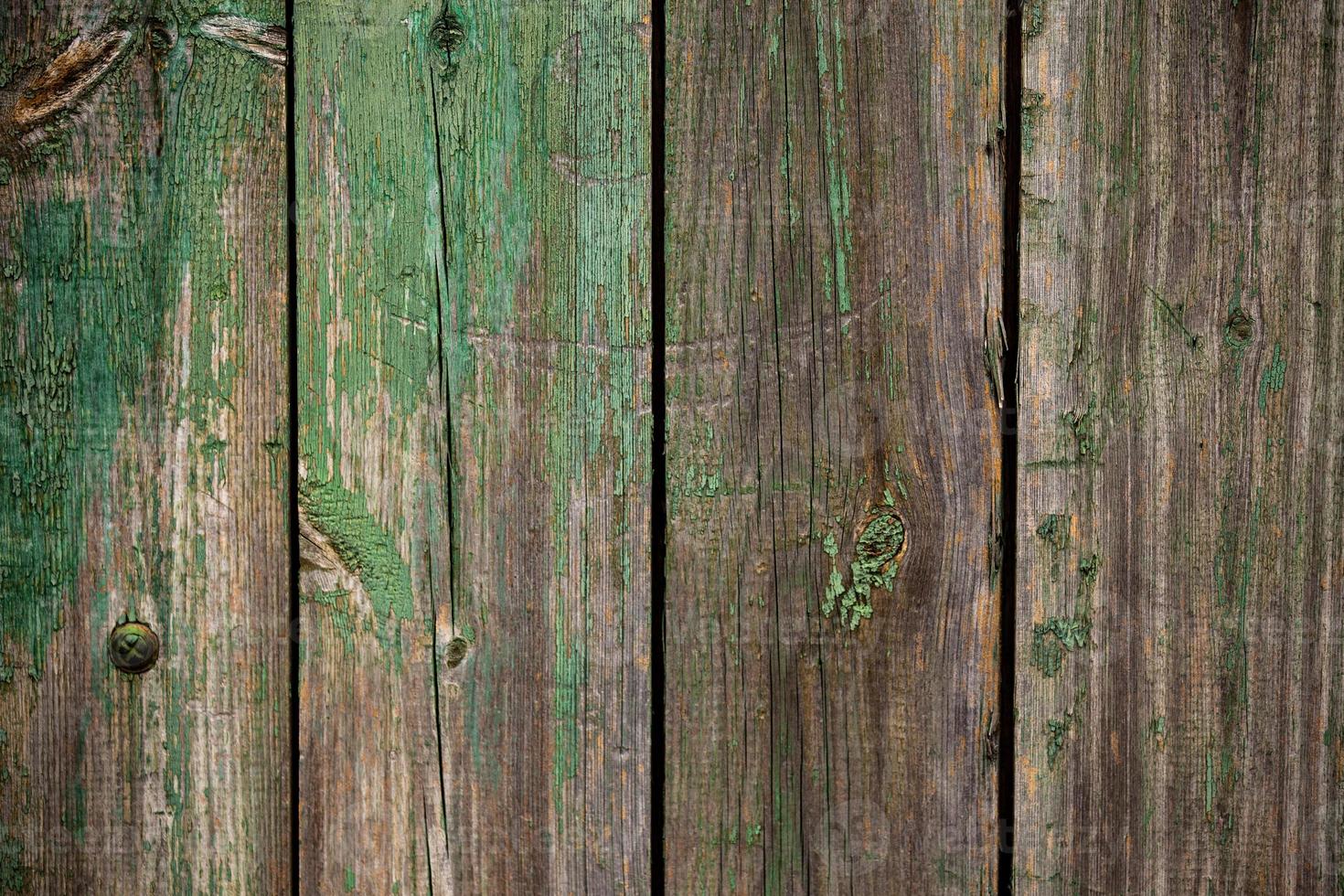 Wood texture background photo