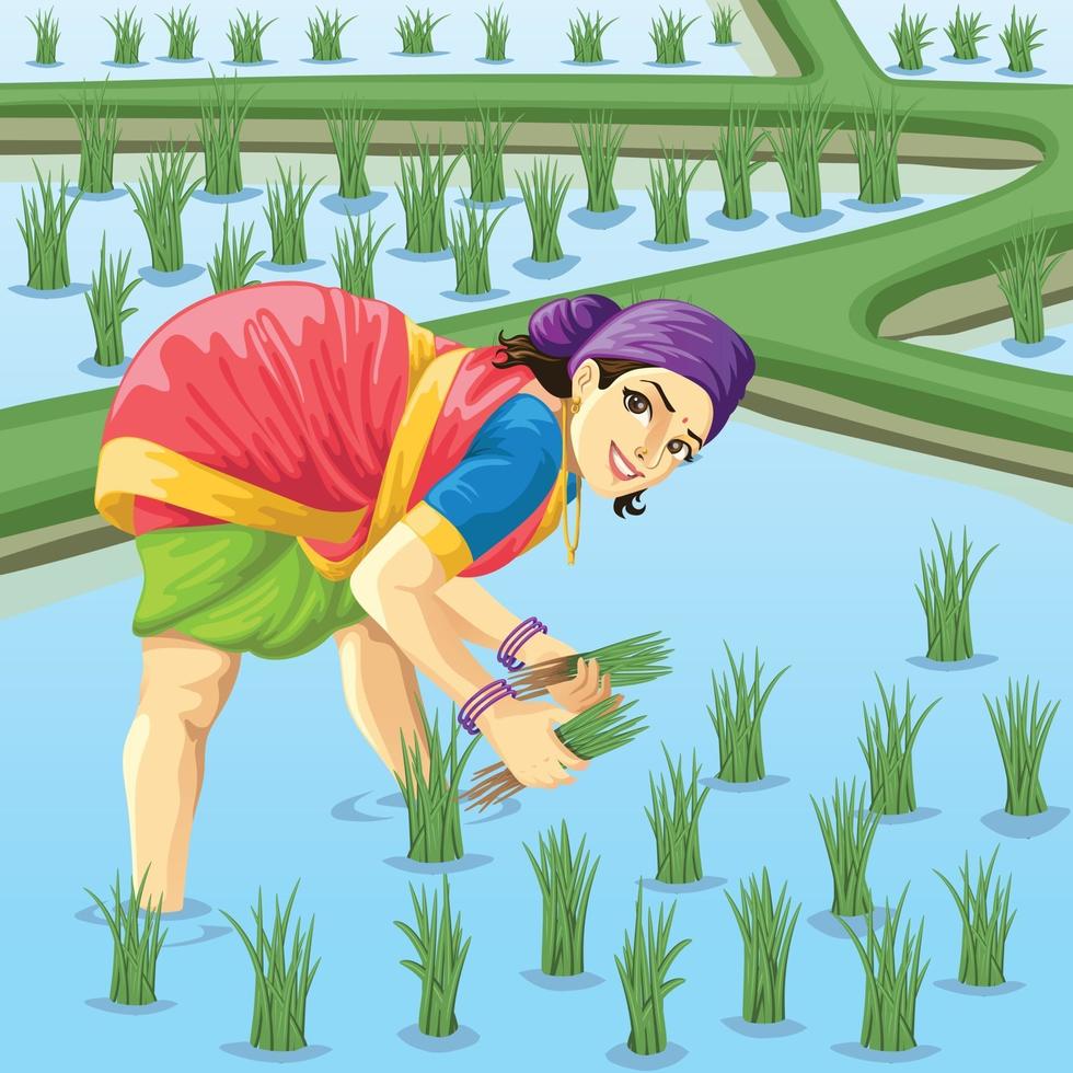 Tamil woman farmer working in paddy field vector