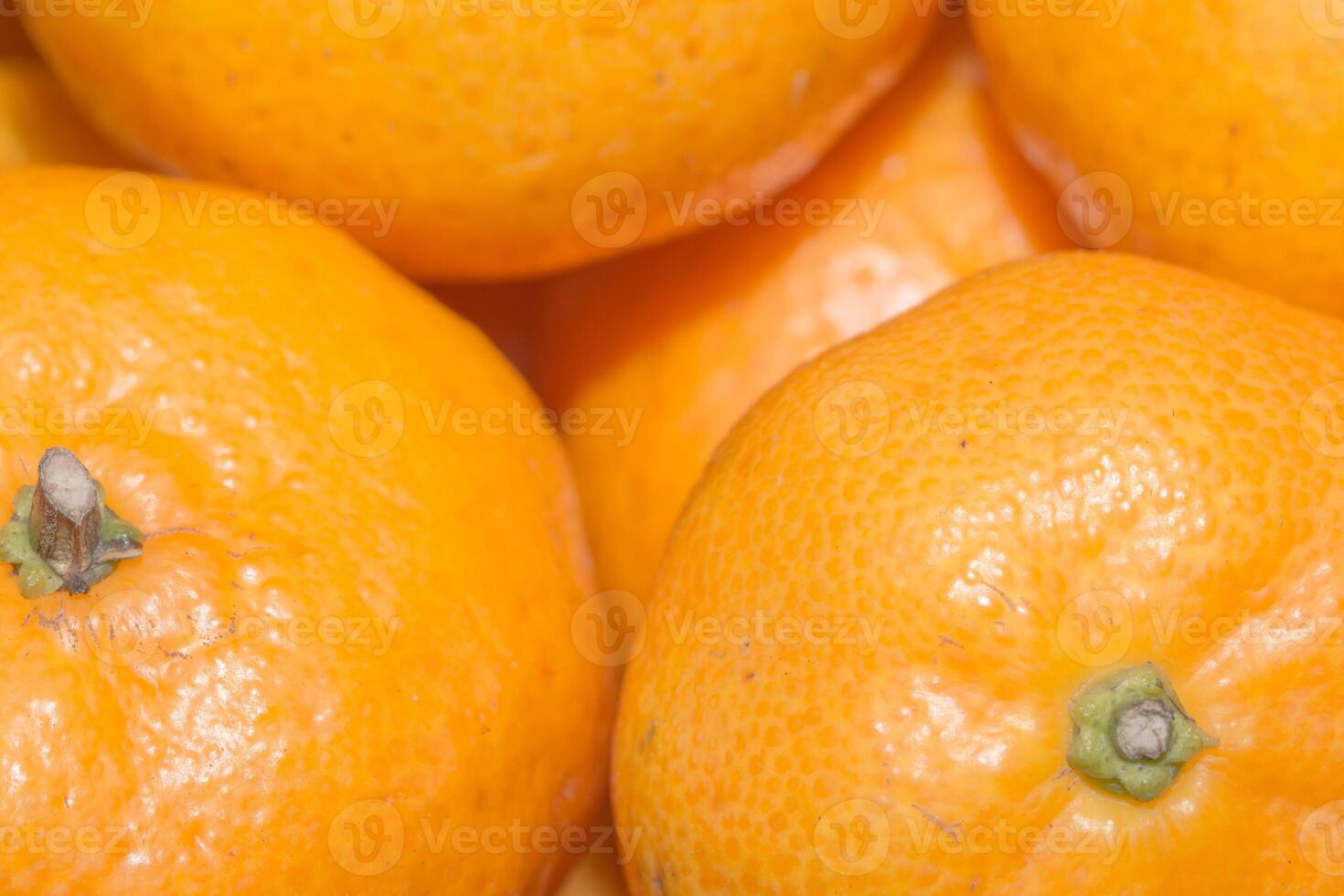 A bunch of oranges are sitting together photo