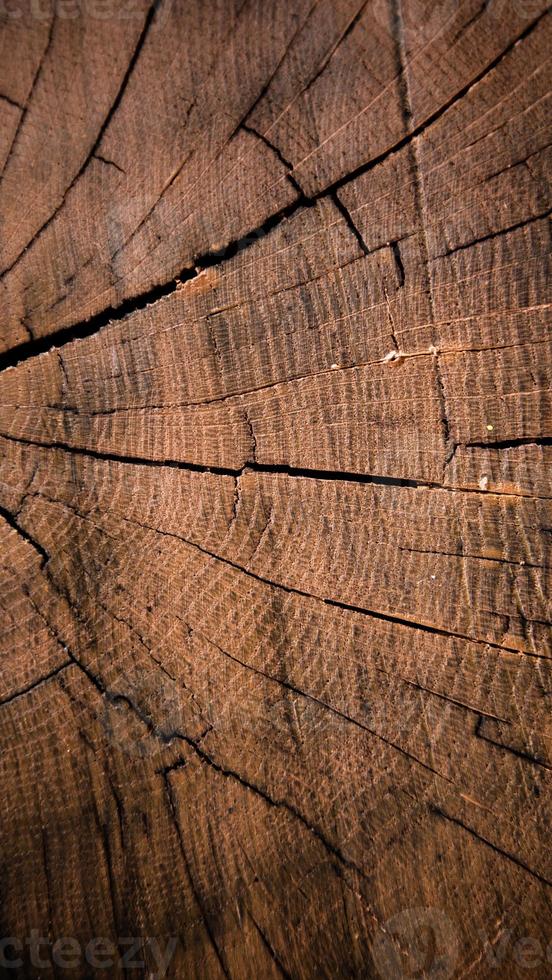 Textura de madera vertical de tronco de árbol cortado foto