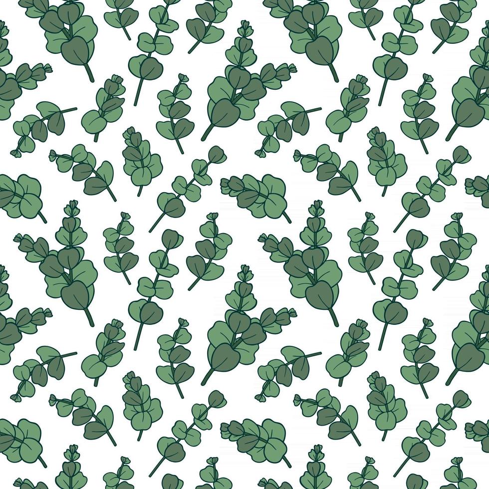 PATTERN WITH EUCALYPTUS BRANCHES vector