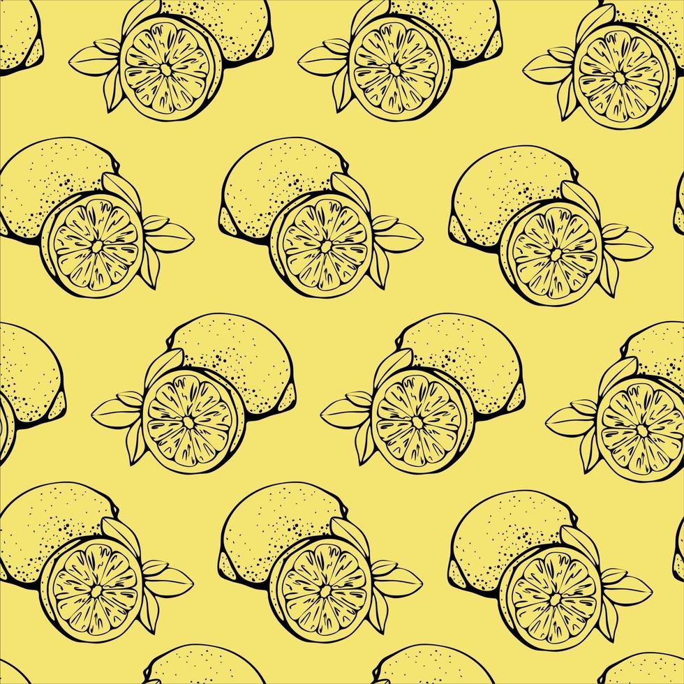 patrón sin costuras de limón. rodaja de limón y limón. dibujado a mano ilustración vectorial vector
