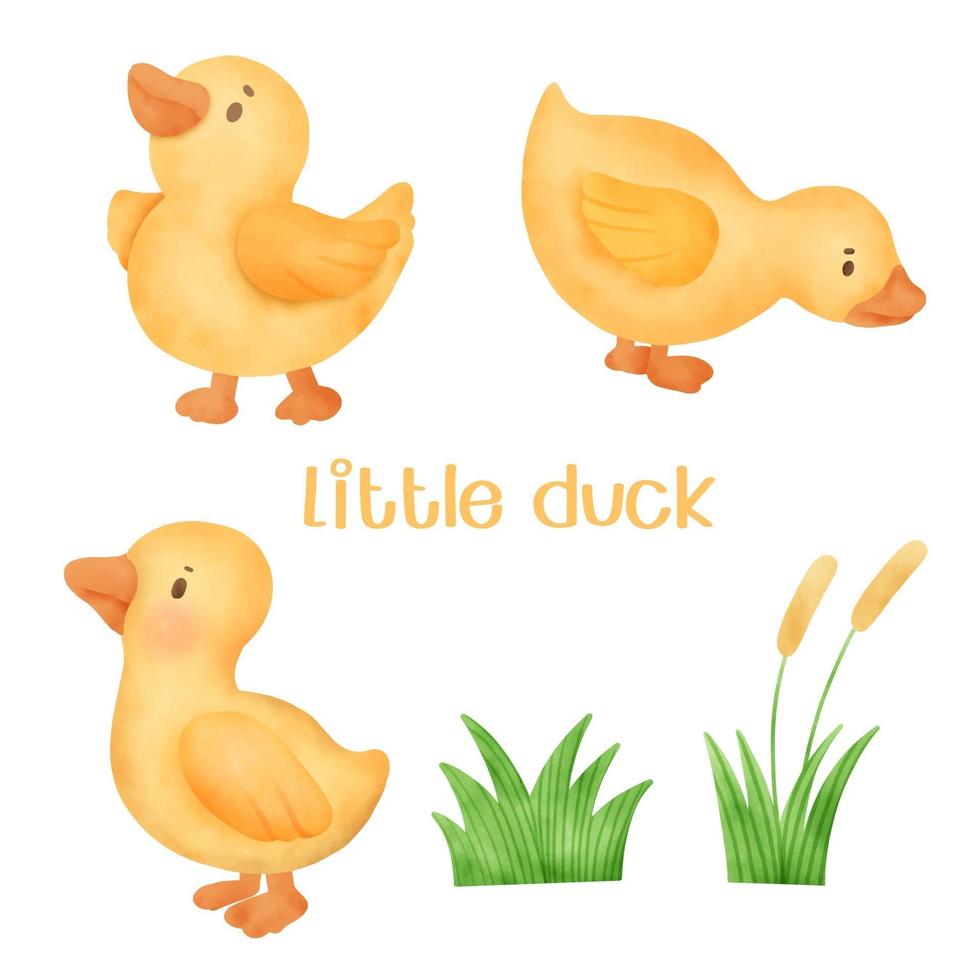 Watercolor little yellow duck vector