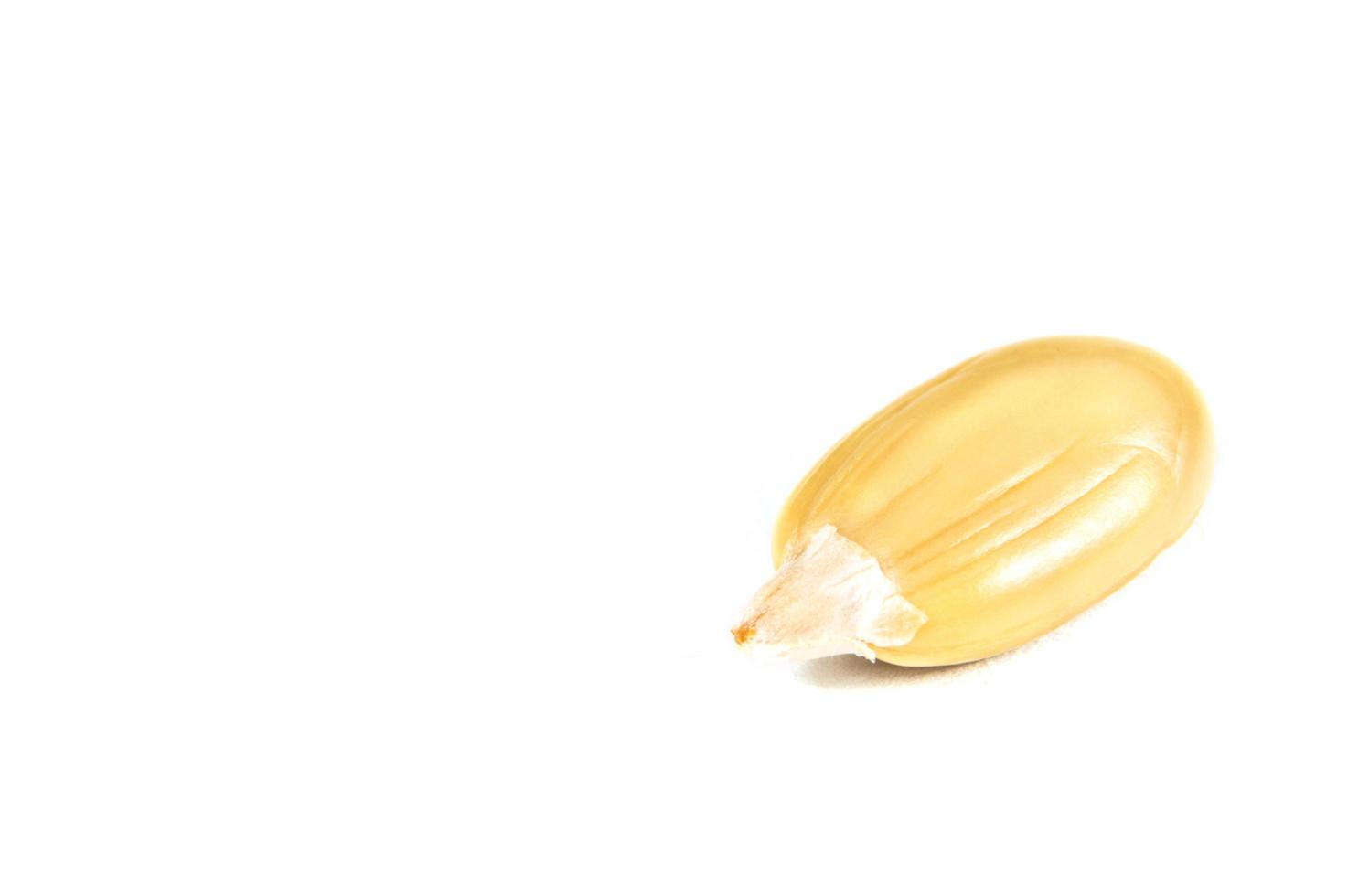 Sunflower seeds in  macro on white background photo