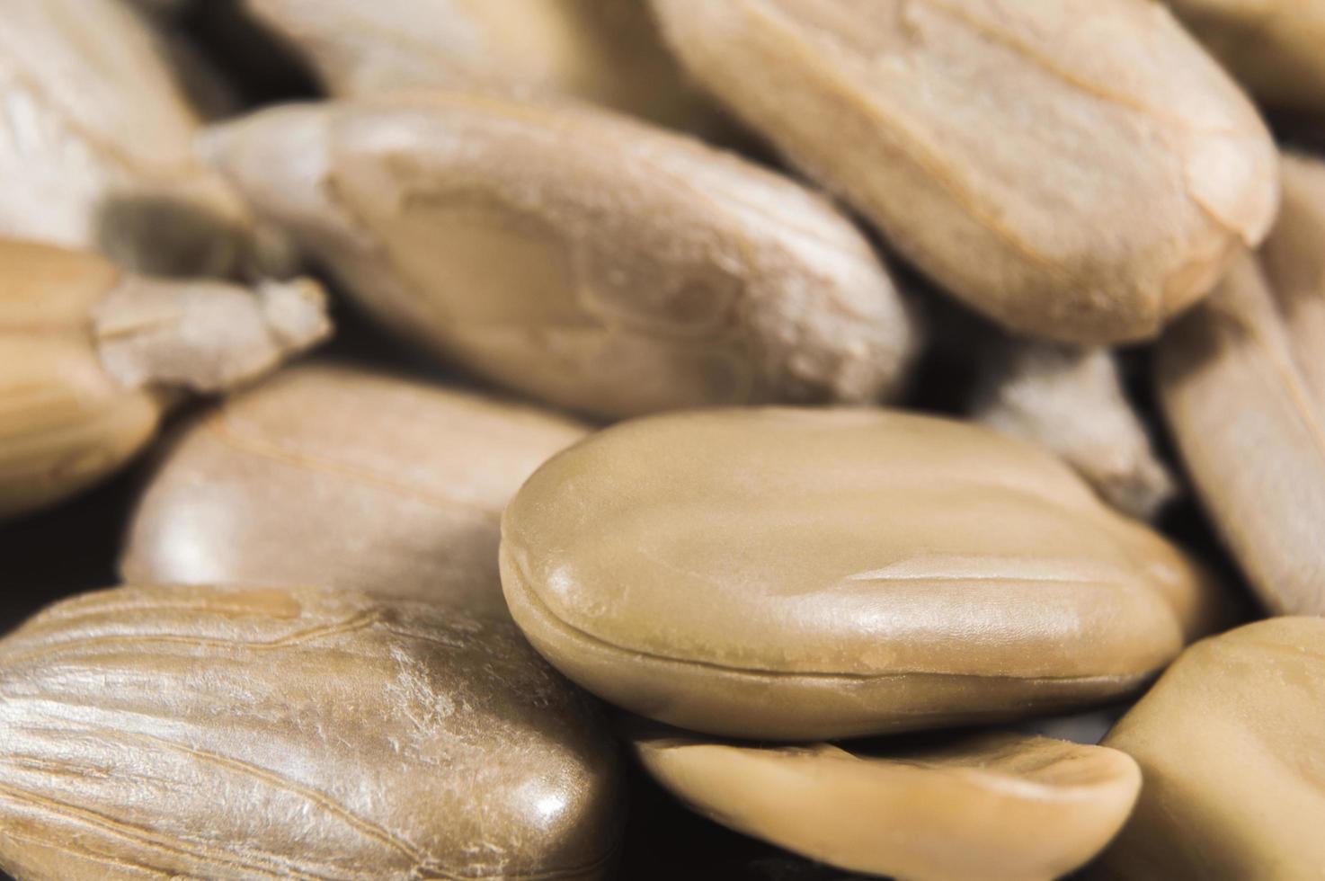 Sunflower seeds in  macro photo