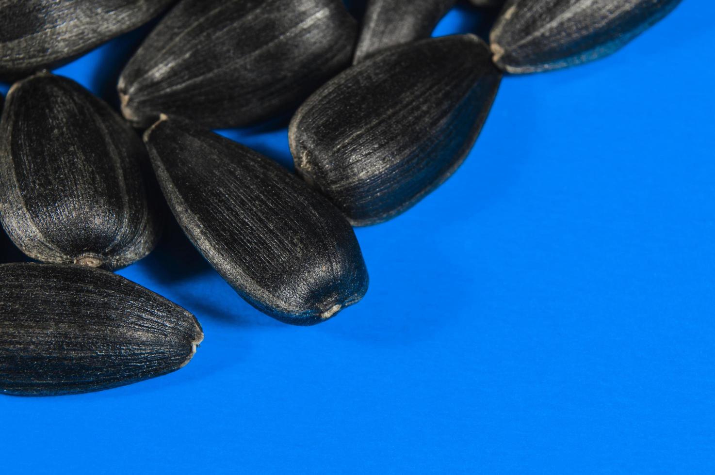 Sunflower seeds in  macro on blue background photo